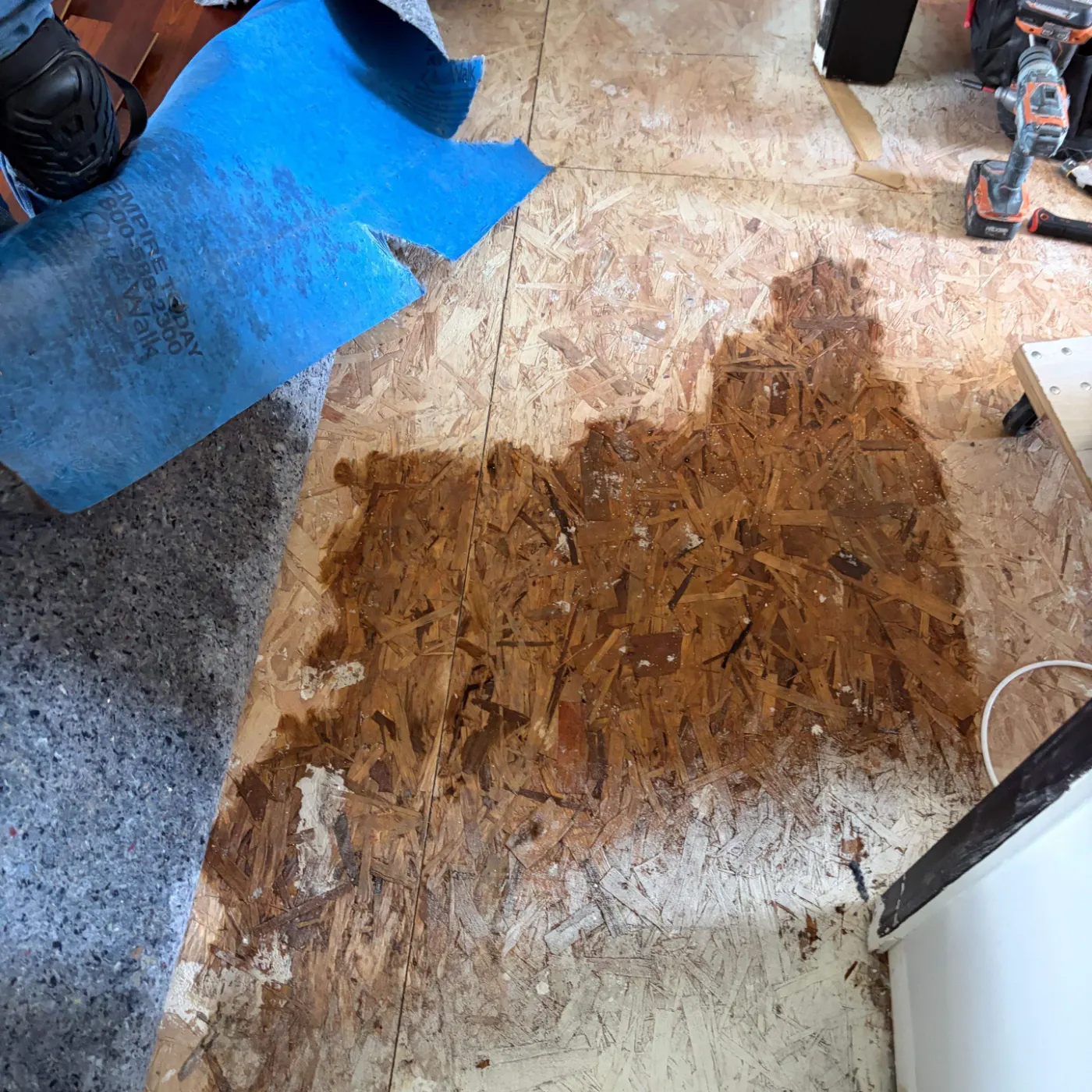Moisture meter reading on drywall in North College Park water loss