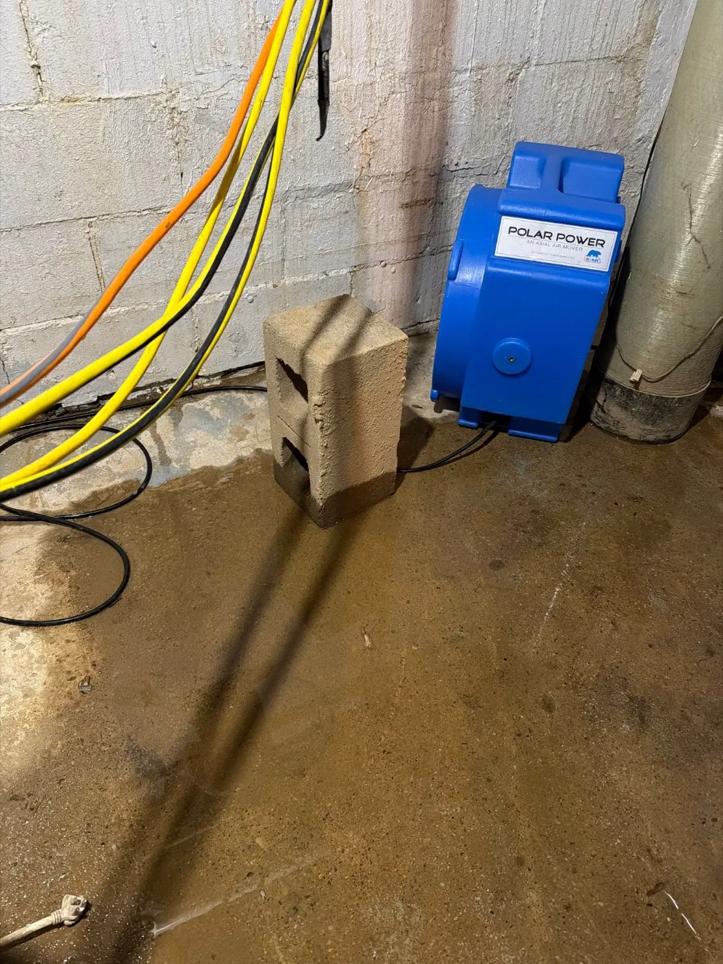 Basement water extraction in North College Park Indiana home
